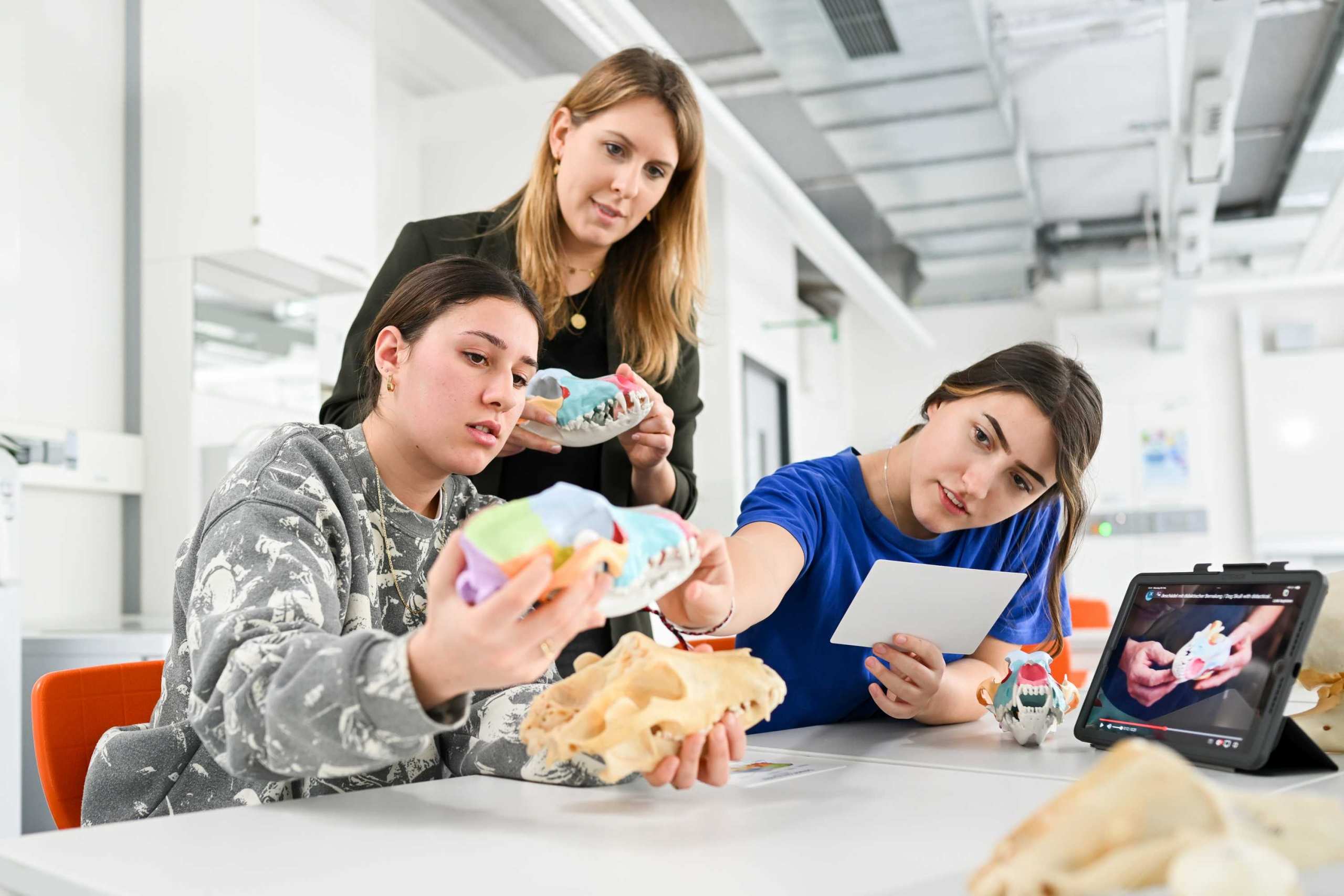 Städt. Berufsschule für Fachkräfte in Arzt- und Tierarztpraxen und Pharm.-kaufm. Angestellte